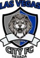A BSI Soccer Executive fechou um convênio com a equipe LAS VEGAS CITY F.C  da cidade  de Las Vegas estados unidos.